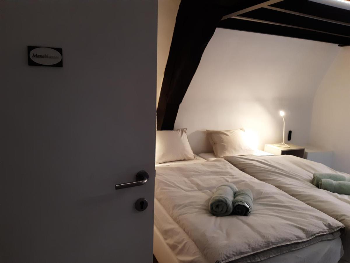 Het Maelslot Lägenhet Mechelen Exteriör bild